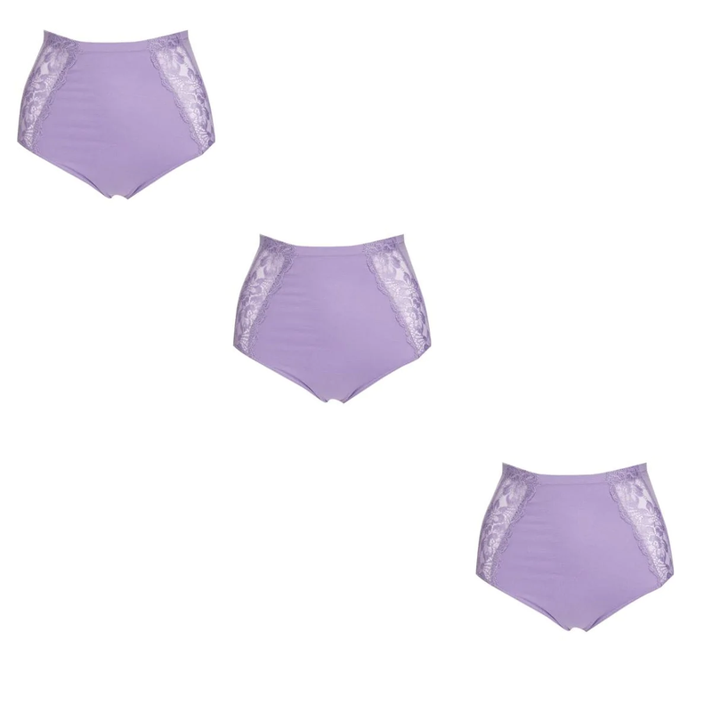 Rhonda Shear Seamless Lace Brief 3-pack 605377-J