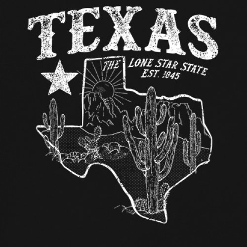 Texas Lone Star State Pride Women's Long Sleeve T-shirt Southern Vintage TX Map