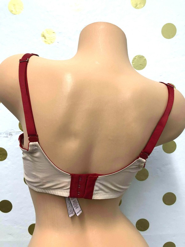 Victorias Secret Dream Angels Push-up Without Padding Bra Red Nude Mesh Lace NWT
