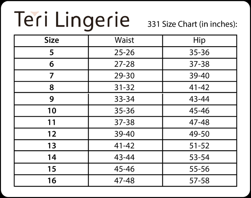 Women's Classic Nylon Brief Panty (Stye 331) 4 Pack By Teri Lingerie