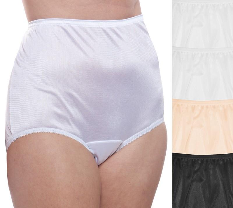 Women's Classic Nylon Brief Panty (Stye 331) 4 Pack By Teri Lingerie