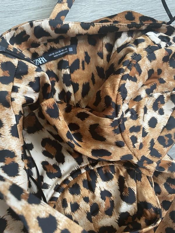 Zara Leopard Dress Size SX
