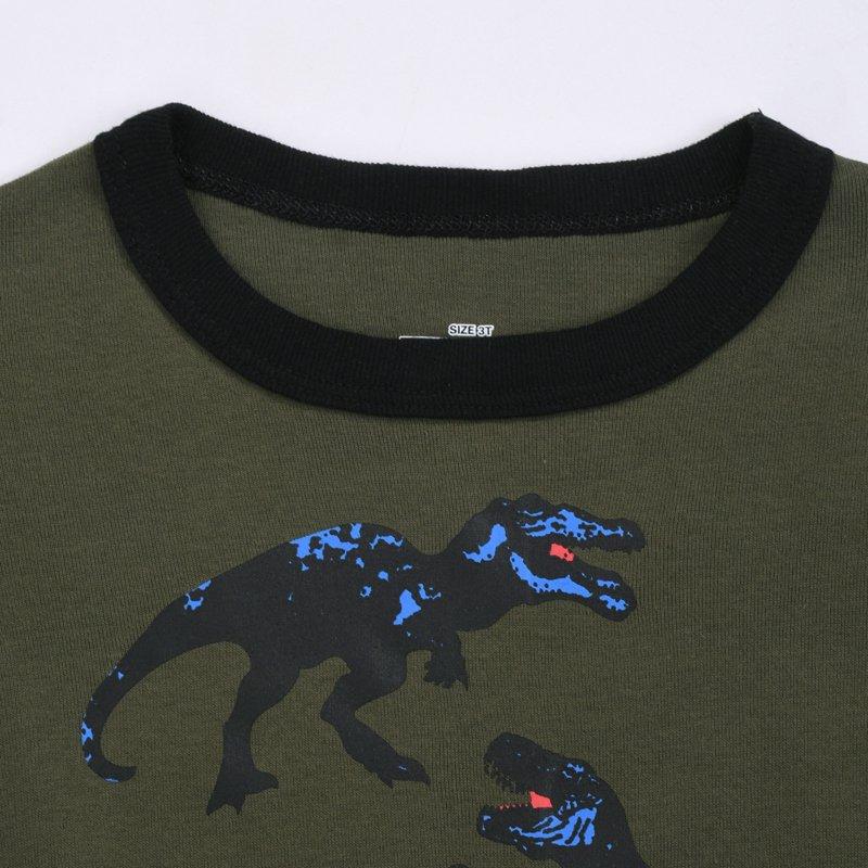 AJIWYH Boys' Sleepwear Children's Homewear Long Sleeve Boys Pajamas Dinosaur Print Autumn And Winter Warm Pajamas Pajamas For Boys 6-8 Green 5-6 Years