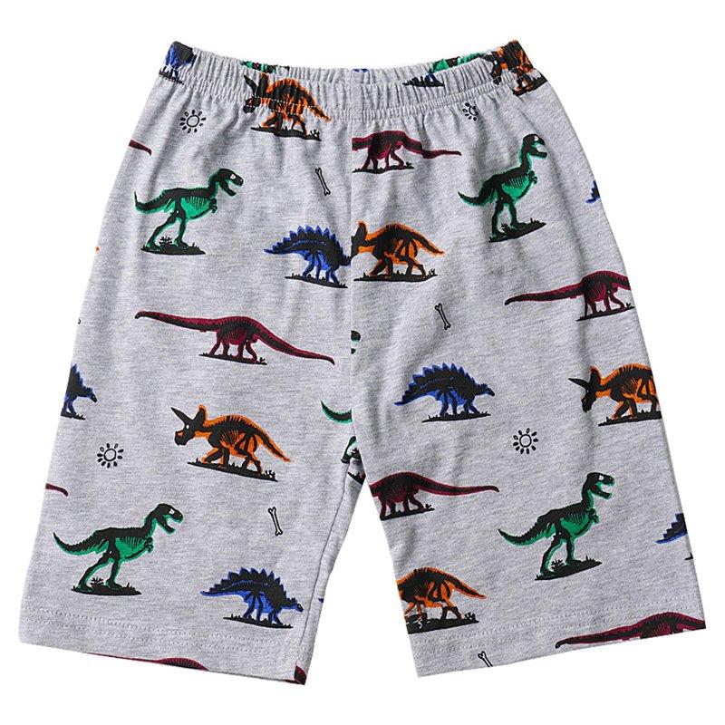 FEDPOP Toddler Boys Short Sleeve Dinosaur 100% Cotton Pajamas Sets 3t
