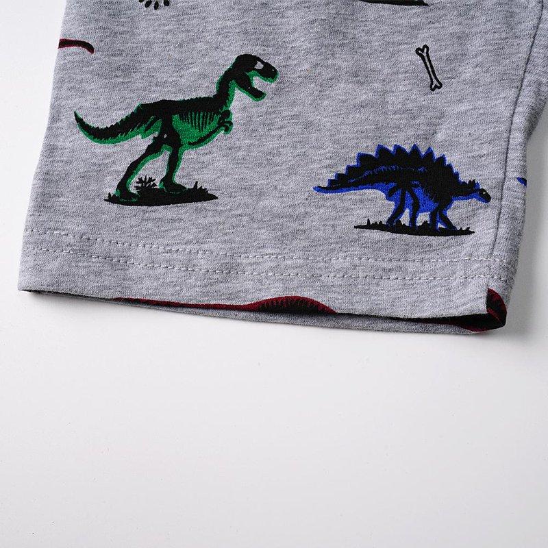 FEDPOP Toddler Boys Short Sleeve Dinosaur 100% Cotton Pajamas Sets 3t