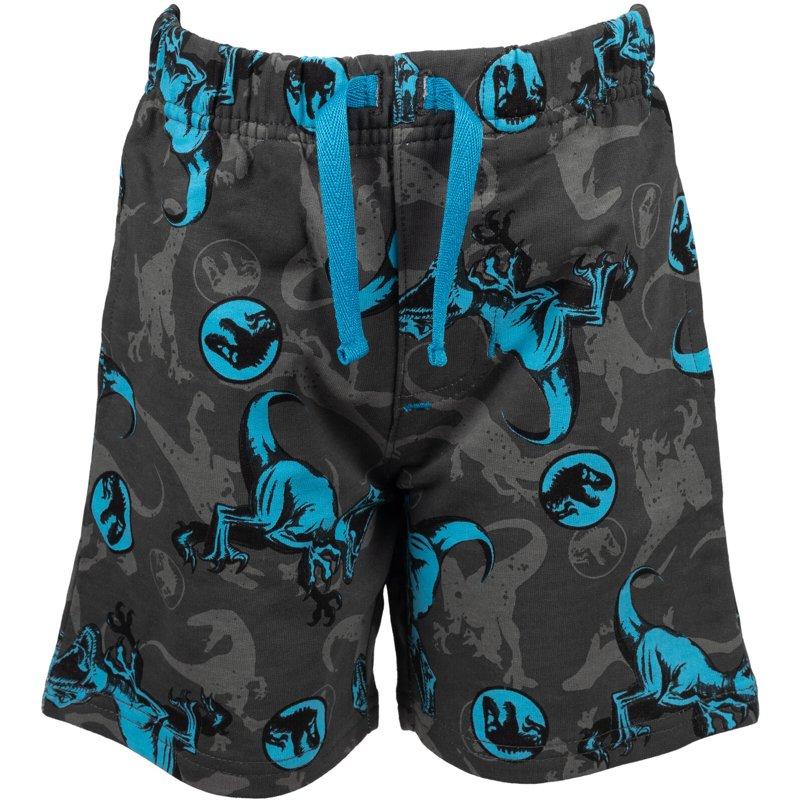 Jurassic World Dinosaur Blue Big Boys T-Shirt And French Terry Shorts Outfit Set Blue / Grey 10-12
