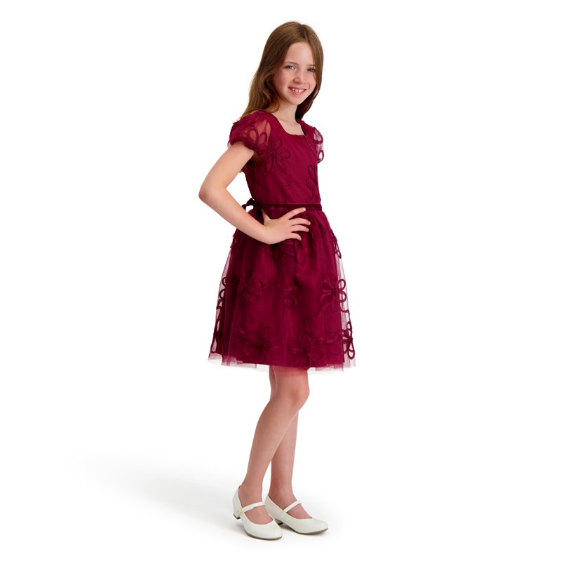 Kensie Girl Floral Soutache Mesh Short Sleeve Dress Sizes 4-16