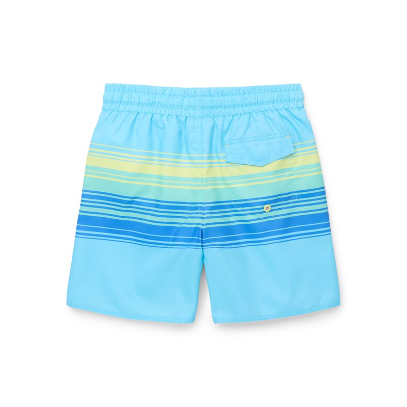 Laguna Boys Midway Stripe Volley Swim Trunks Sizes 8-16