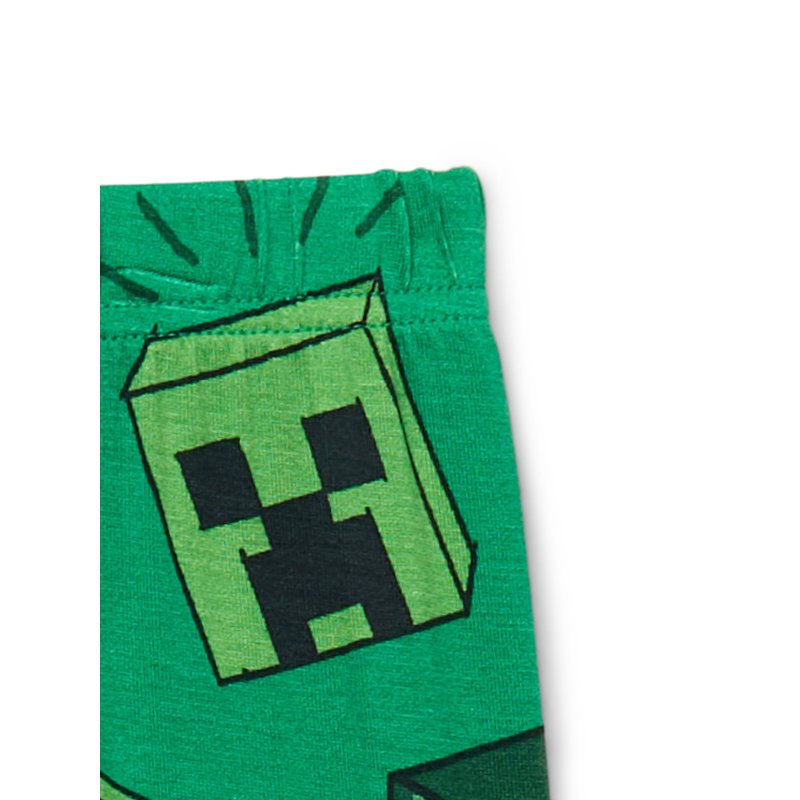 Minecraft Boys Top And Pants Pajama Set 2-Piece Sizes 4-10