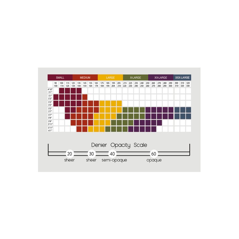 Silk Impressions Shimmer Sheer Pantyhose For Women 20 Denier Sheer Sizes S-3XL 2-Pack