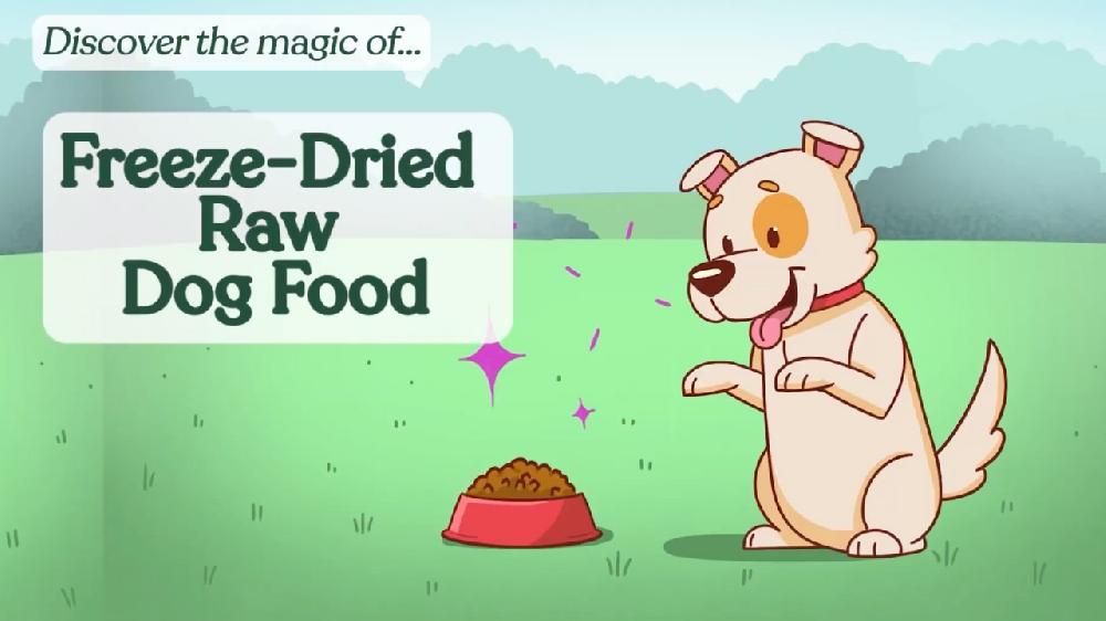 360 Pet Nutrition Chicken Flavor Freeze Dried Dog Food 16 Oz. Bag