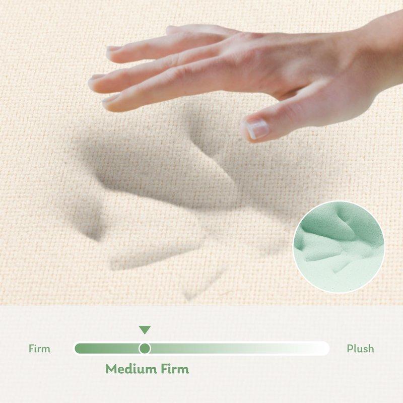 Arctus Twin Mattress 6 Inch Memory Foam Mattress In A Box Medium Firm