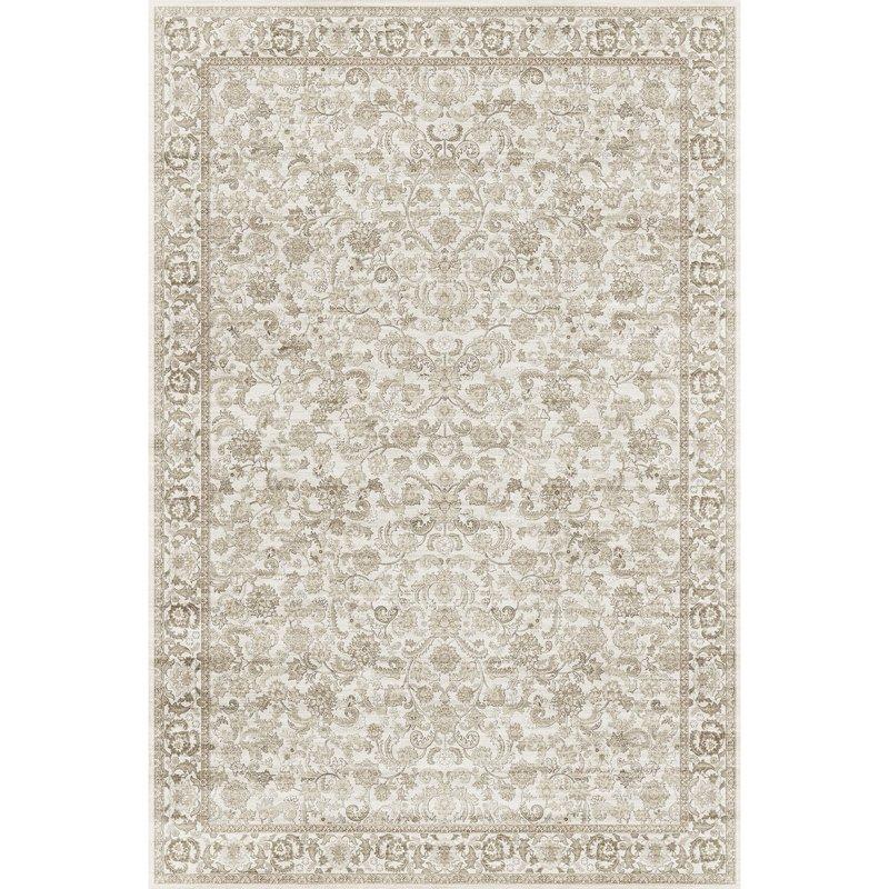 BERTHMEER Vintage Brown Large Area Rugs 8’x10' Clearance For Living Room Bedroom Office Dining Room Farmhouse Non Slip Washable Oriental Floral Traditional Distressed Rugs Carpets