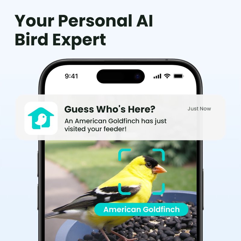 Birdfy Smart Bird Feeder With Camera 60FPS Smooth Video AI Bird Identification & Instant Alerts Auto Capture Perfect Gift For Bird Lovers