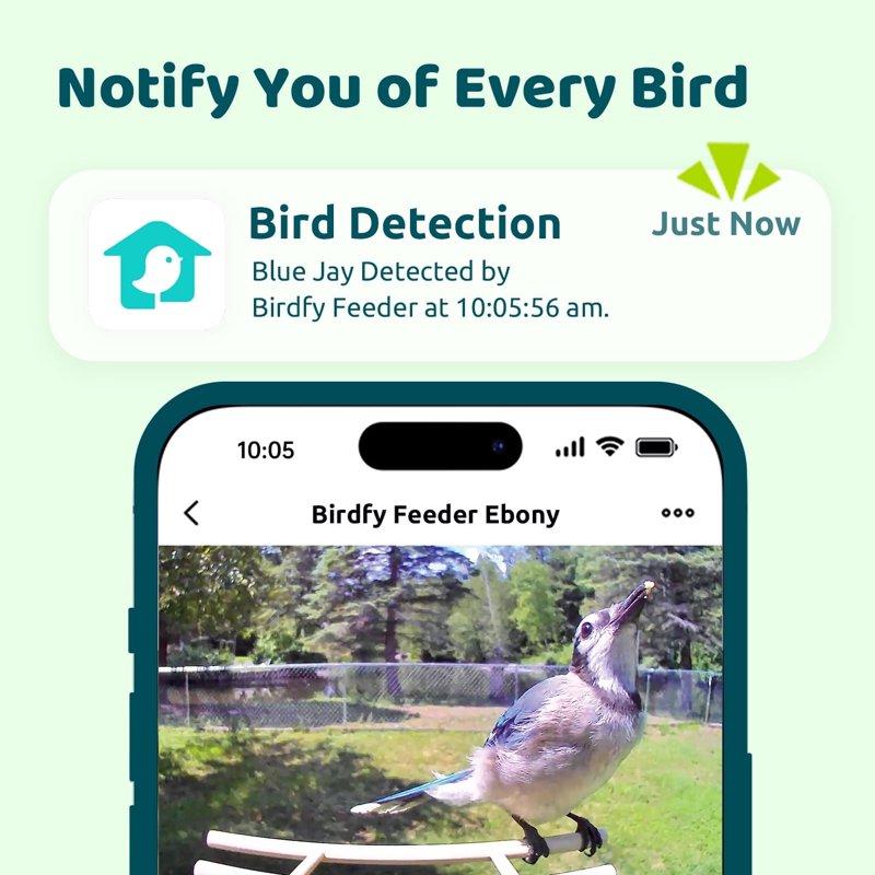 Birdfy Smart Bird Feeder With Camera Bird Watching Camera With Solar Panel AI Identify 6000+ Species Eco-friendly Wooden Ideal Gift Ebony