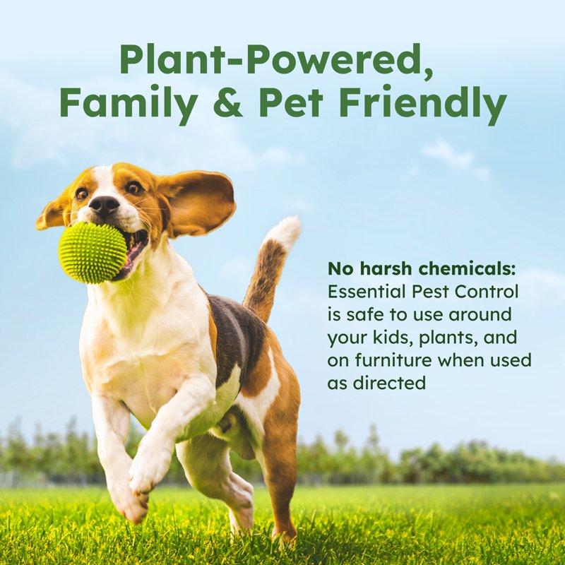 BugMD Pest Control Essential Oil Concentrate (3.7 Oz 2 Pack) - Plant Powered Bug Spray Quick Kills Flies Ants Roaches Mosquitoes And More