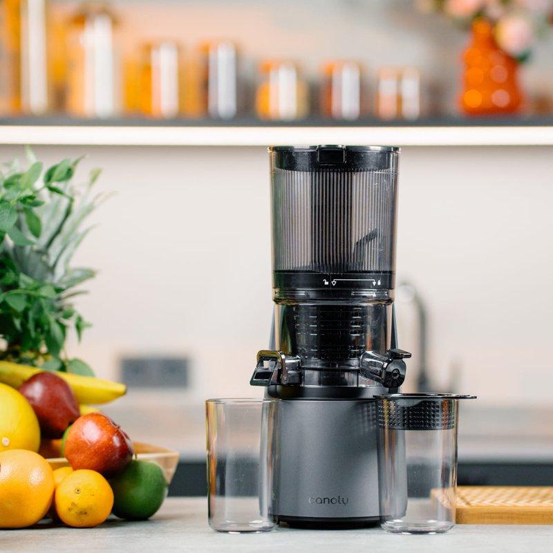 Canoly C16 Cold Press Juicer - 250W AC Brushless Motor For Whole Fruits Batch Juicing Quiet Slow Juicing BPA-Free Easy Clean Black