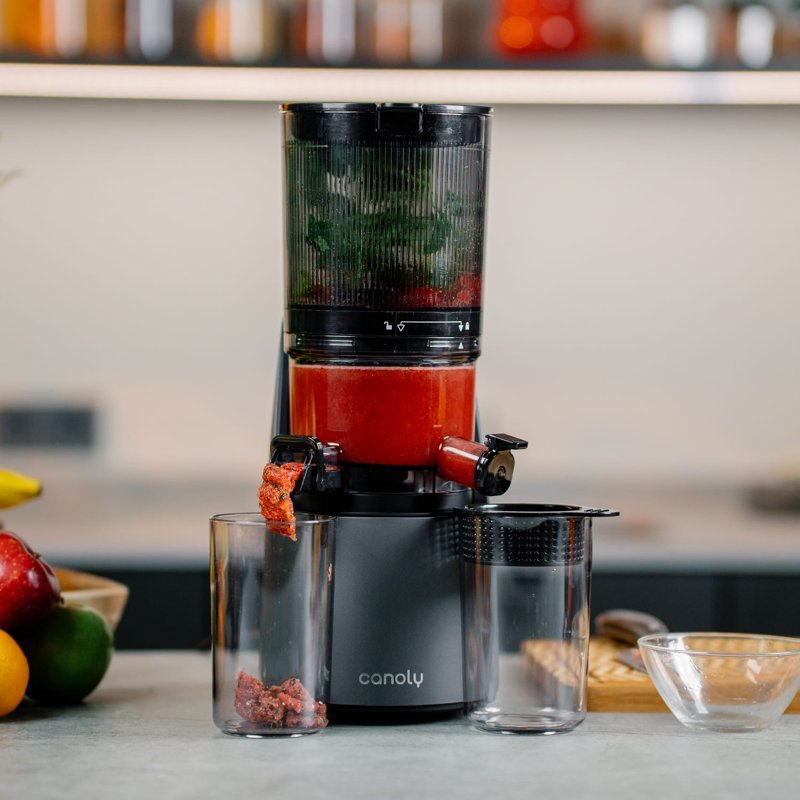 Canoly C16 Cold Press Juicer - 250W AC Brushless Motor For Whole Fruits Batch Juicing Quiet Slow Juicing BPA-Free Easy Clean Black