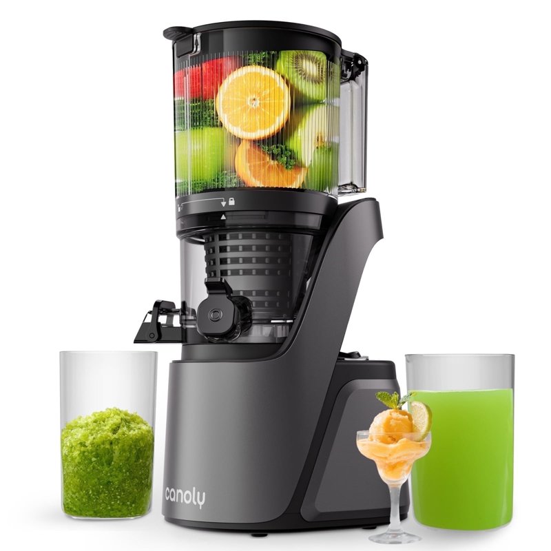 Canoly C16 Cold Press Juicer - 250W AC Brushless Motor for Whole Fruits Batch Juicing Quiet Slow Juicing BPA-Free Easy Clean Black