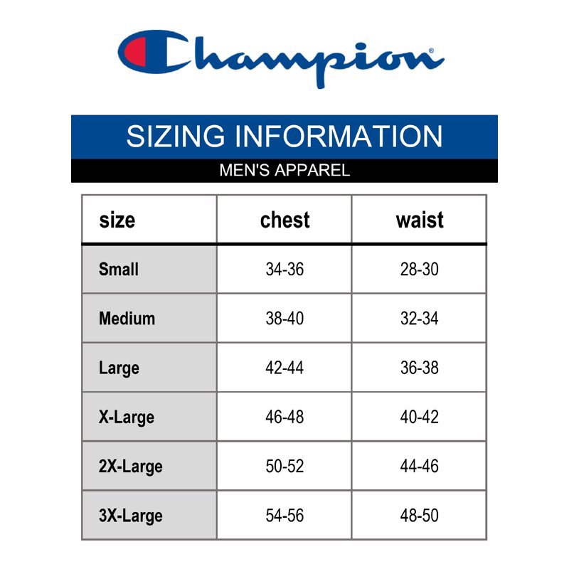 Champion Men's And Big Men's Script Logo Classic Jersey Graphic Tee Shirt Sizes S-2XL