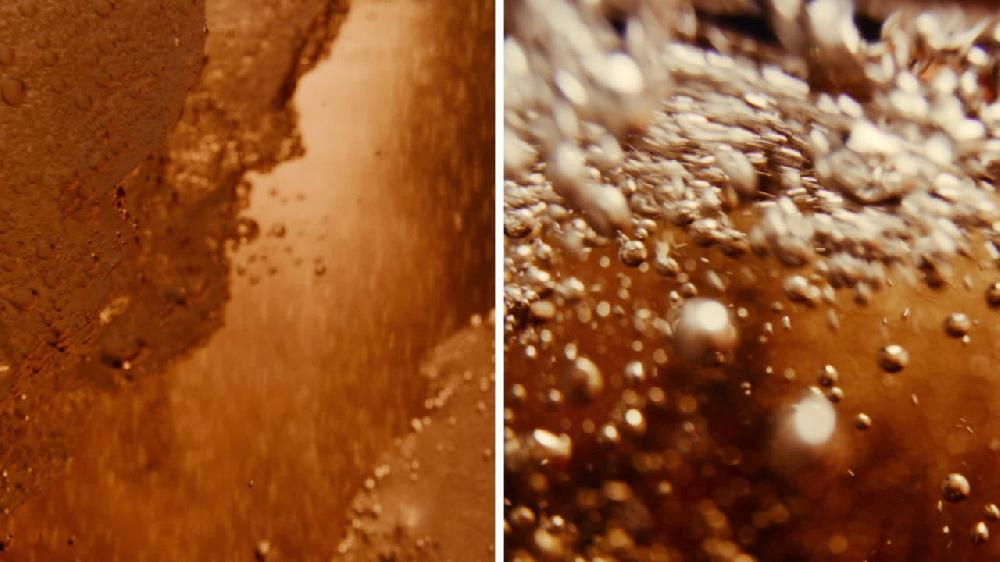 Coca-Cola Classic Soda Pop Fridge Pack 12 Fl Oz Cans 12 Pack