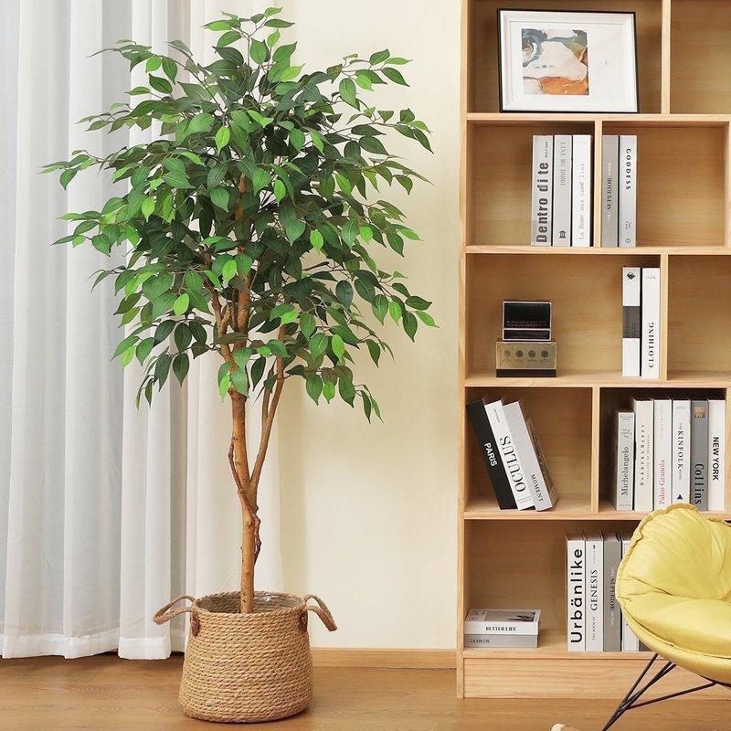 DR.Planzen 5 feet Artificial Ficus Tree Tall Lifelike Greenery with Natural Wood Trunk for Living Room office floor and corner decor