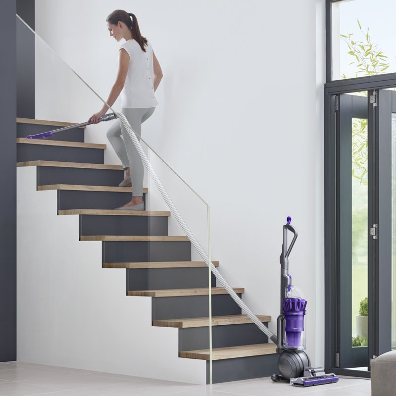 Dyson Ball Animal Origin Upright Vacuum Cleaner Purple New