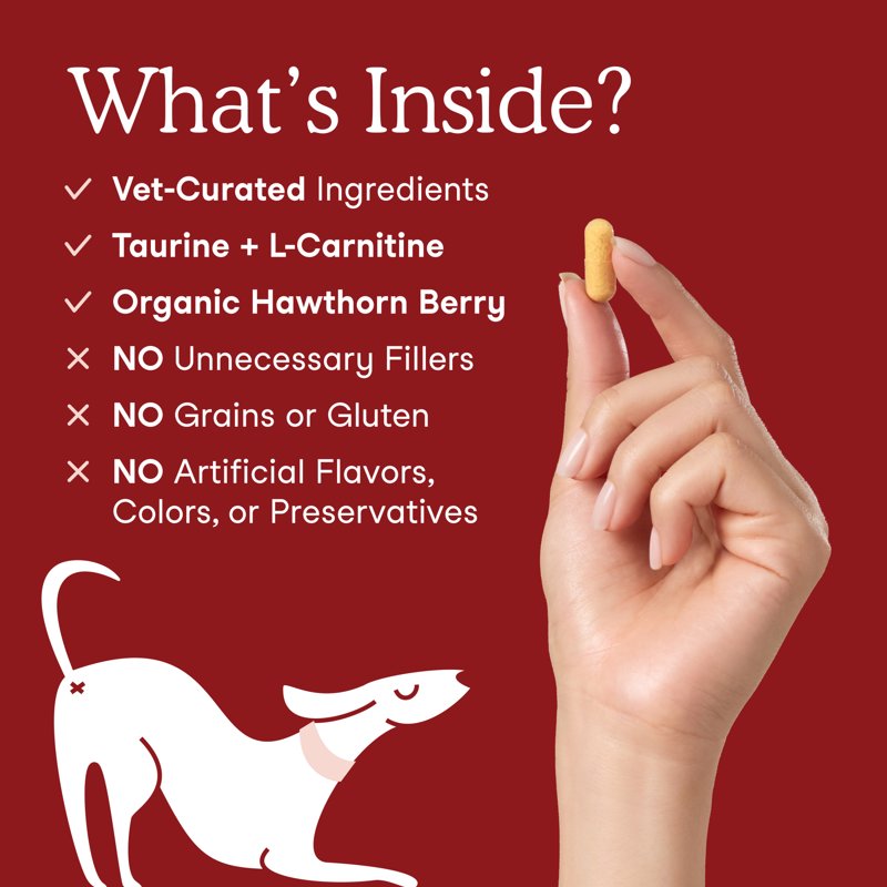 Fera Pets Cardiac Supplement For Dogs & Cats With Taurine & CoQ10 60 Capsules