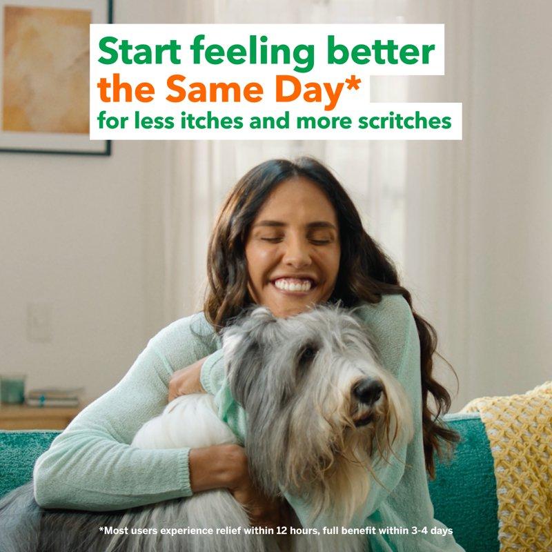 Flonase Nasal Spray 24 Hour Non-Drowsy Severe Allergy Relief Medicine 144 Sprays