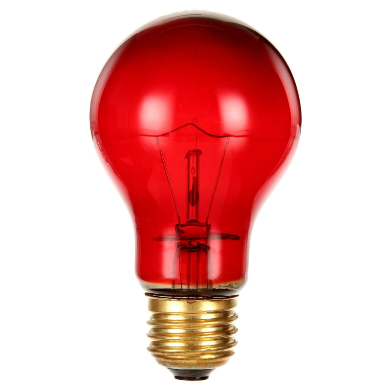 Fluker's Repta-Sun Incandescent Reptile Red Heat Bulb 60 W