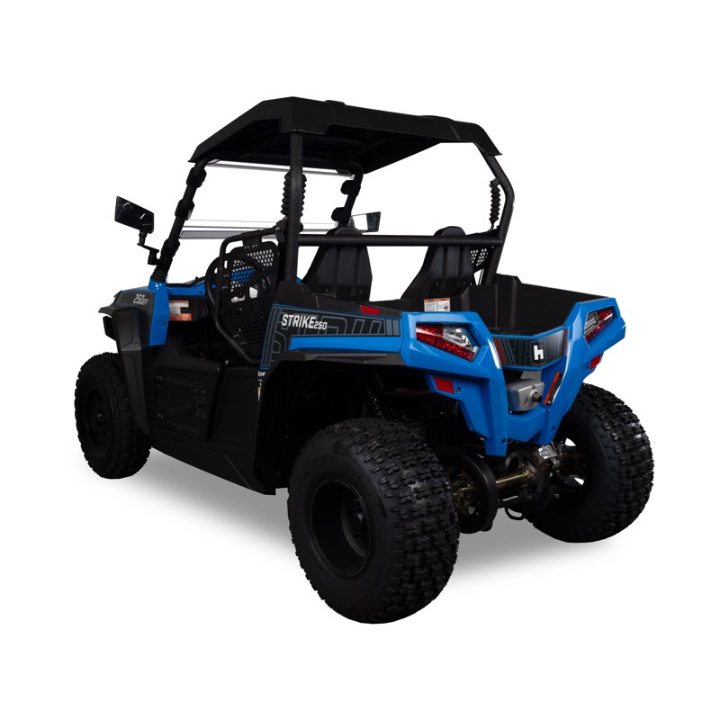 Hisun Sport 250 UTV Blue 2-Seater 16 HP 229cc UTV With Accessories