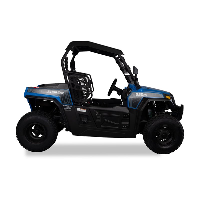 Hisun Sport 250 UTV Blue 2-Seater 16 HP 229cc UTV With Accessories