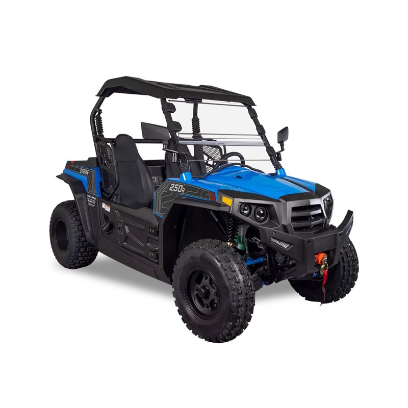 Hisun Sport 250 UTV Blue 2-Seater 16 HP 229cc UTV with Accessories