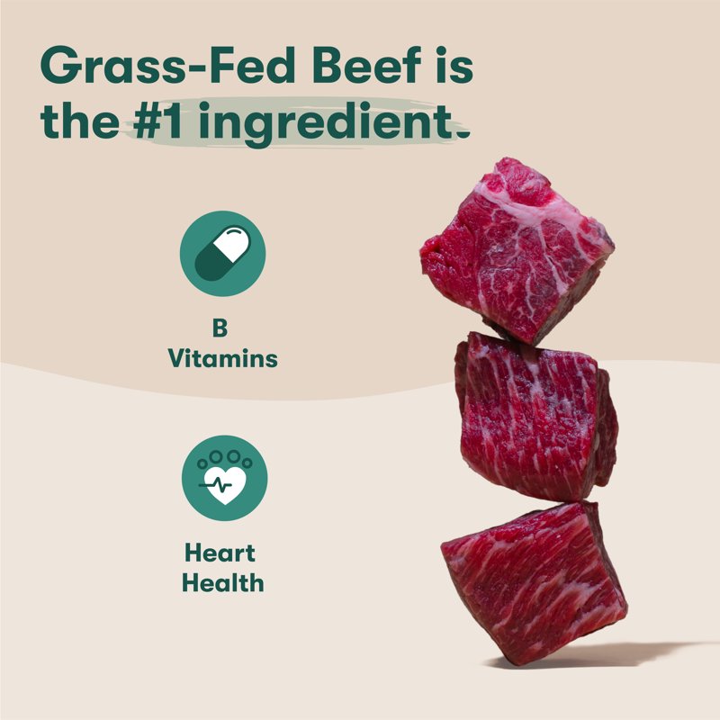 Jinx Beef Brown Rice Sweet Potato 4lb Dry Dog Food Bag