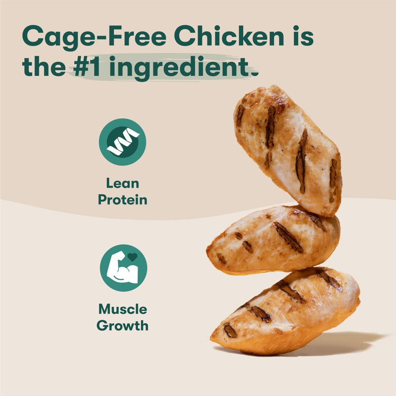 Jinx Chicken Sweet Potato Carrot Grain Free Dry Dog Food 4lb. Bag