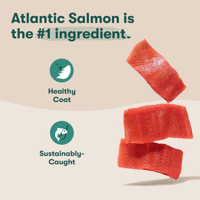 Jinx Small Breed Sweet Potato & Carrot Dry Dog Food Grain Free 4lb. Bag