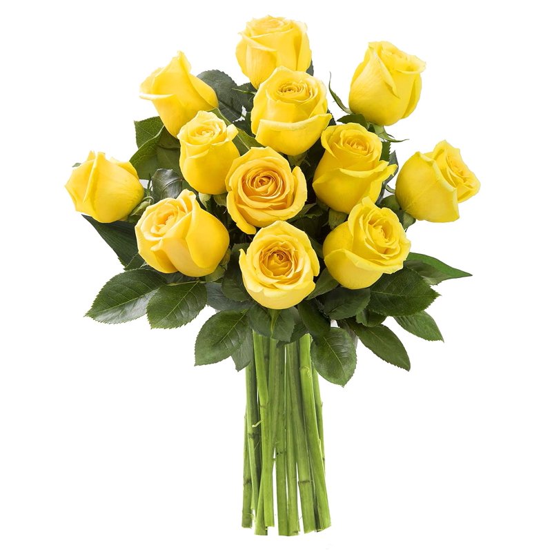 KaBloom: 18 Yellow Roses Without Vase Next-Day Delivery Gift For Every Occasion