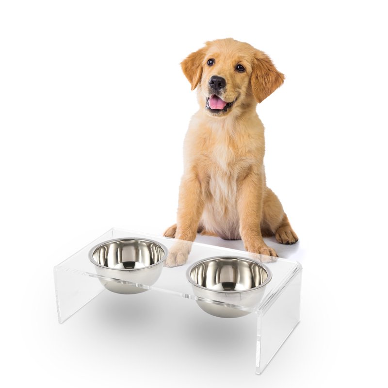 Keaton 5" Small/Medium Modern Lucite Rectangular Elevated Pet Feeder With 20oz 2-Stainless Steel Bowls Clear/Chrome