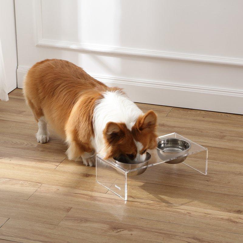 Keaton 5" Small/Medium Modern Lucite Rectangular Elevated Pet Feeder With 20oz 2-Stainless Steel Bowls Clear/Chrome