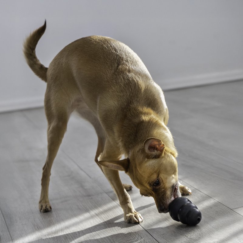 KONG® Extreme Dog Toy Small