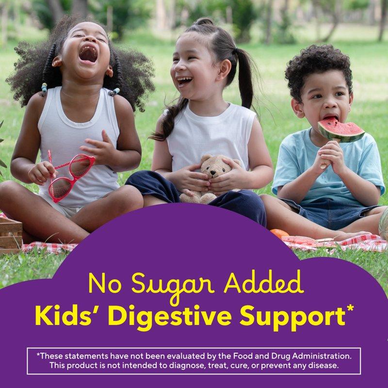 L’il Critters Digestive Support Childrens Fiber Supplement Gummies Mixed Fruit Flavor 90 Count