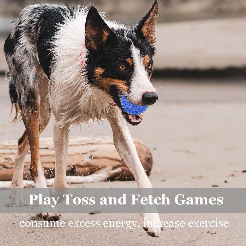 LECHONG 6-Piece Squeaky & Chewable Balls For Small Dogs With Built-in Squeaker