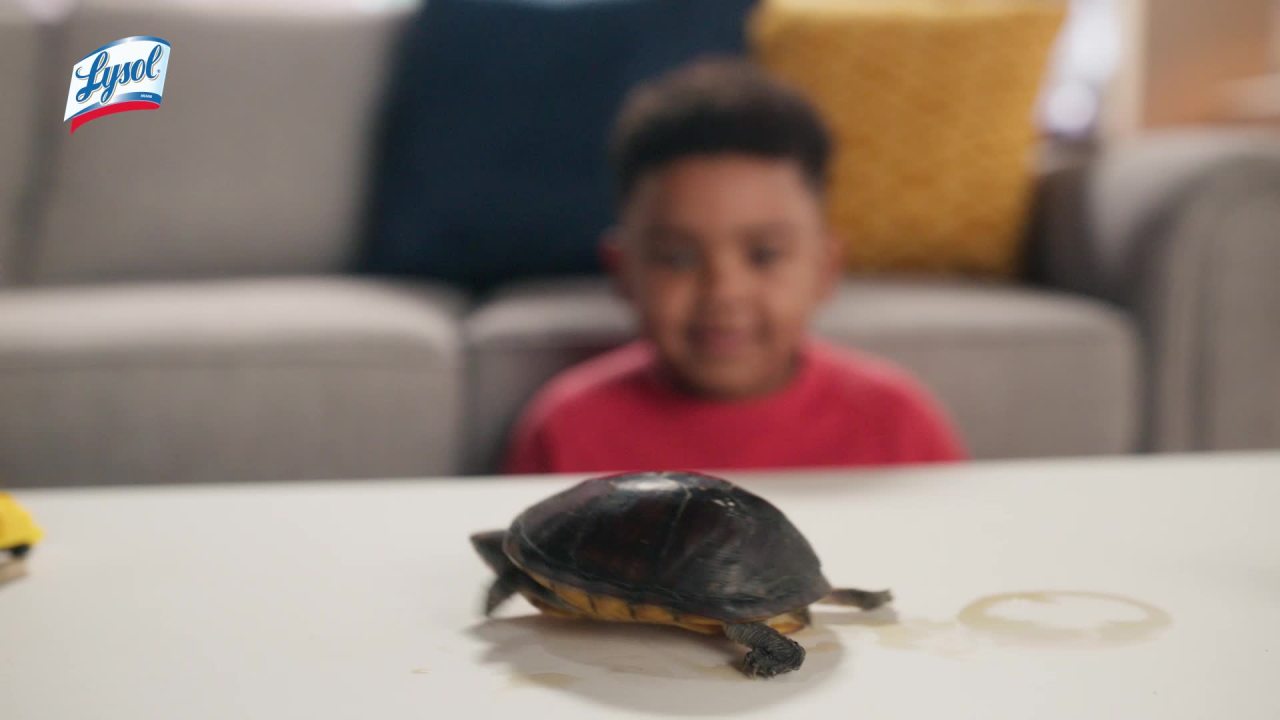 Lysol Disinfectant Spray Sanitizing And Antibacterial Spray Crisp Linen Scent 19 Fl Oz 3 Pack