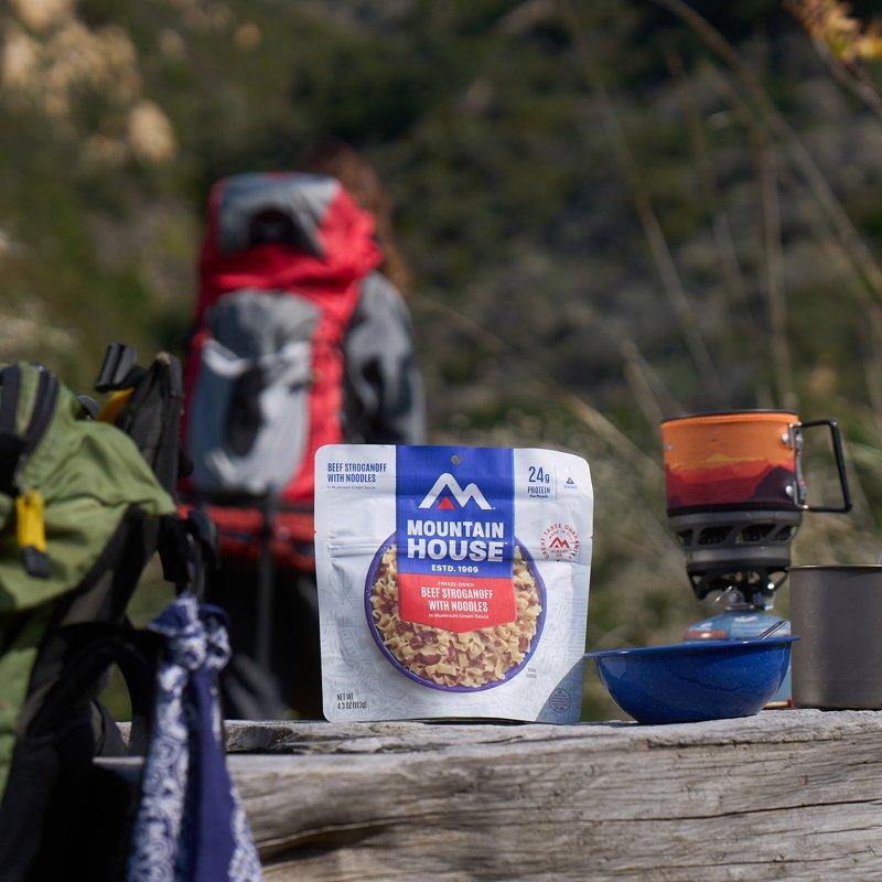 Mountain House Beef Stroganoff With Noodles Freeze-Dried Backpacking & Camping Food 2 Servings