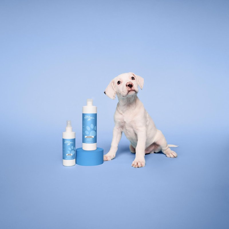 Paul Mitchell Pet Awapuhi Shine Spray 8.5 Oz