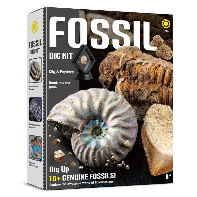 Piano Potato Mega Fossil Dig Kit - Dig Up 12 Real Fossils Including Sharks Dinosaurs & Ammonites - Archaeology Paleontology Science STEM Gift For Kids Ages 6-12