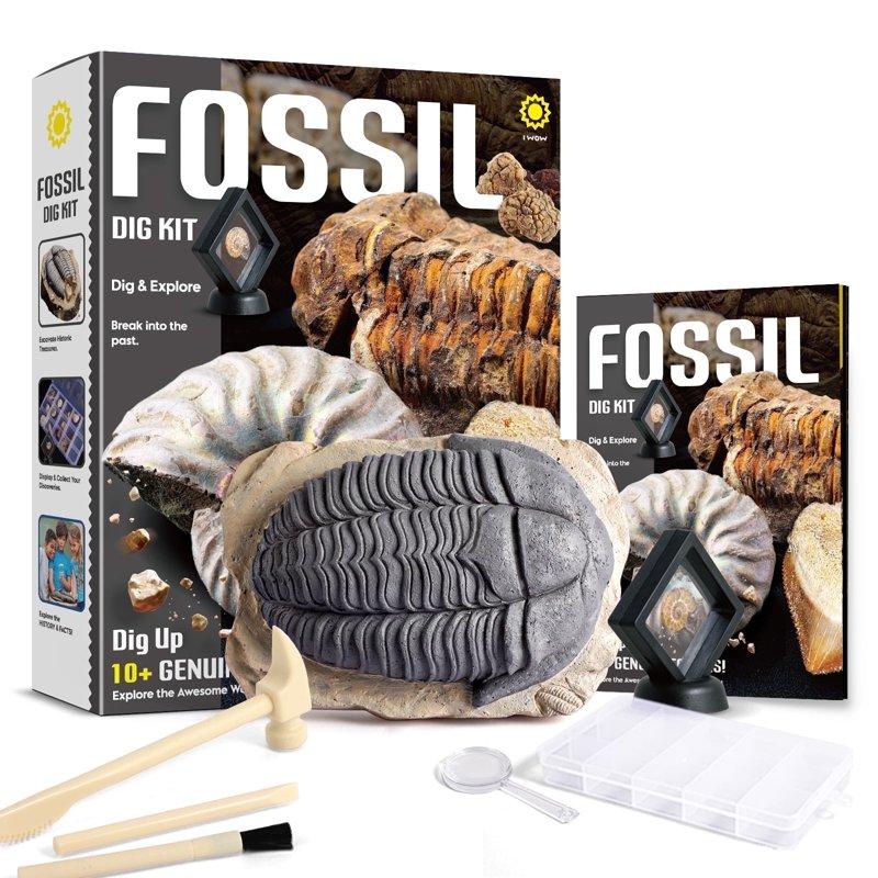 Piano Potato Mega Fossil Dig Kit - Dig Up 12 Real Fossils Including Sharks Dinosaurs & Ammonites - Archaeology Paleontology Science STEM Gift for Kids Ages 6-12