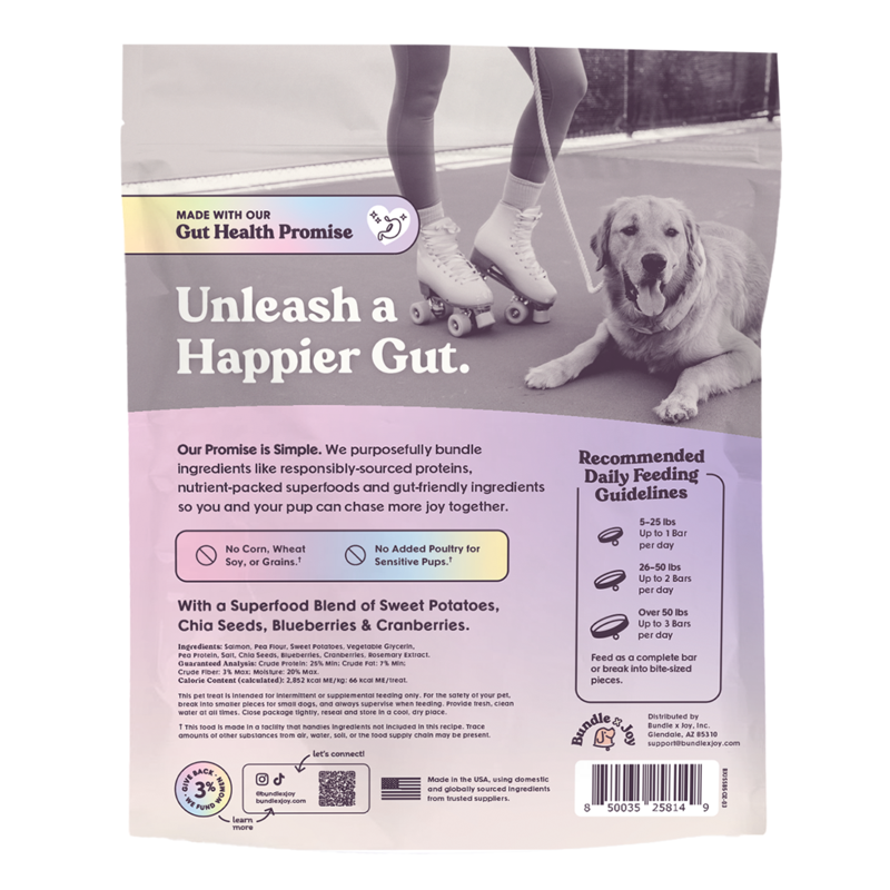 Ride & Vibe Salmon Superfood Jerky Bars 16oz