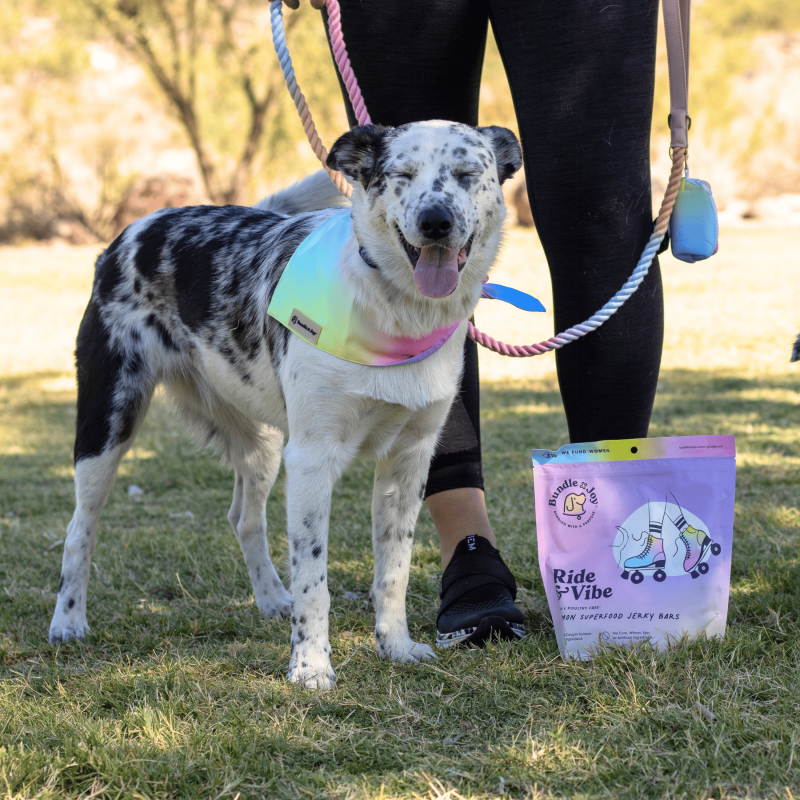 Ride & Vibe Salmon Superfood Jerky Bars 16oz