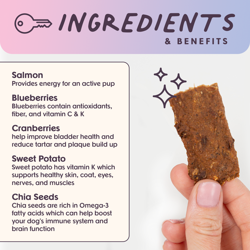 Ride & Vibe Salmon Superfood Jerky Bars 16oz